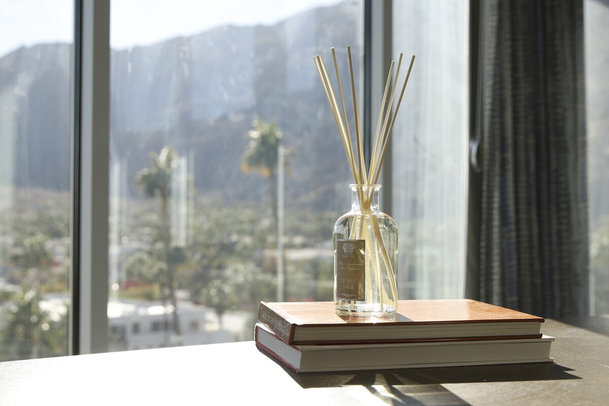 The diffuser on a stack of books at a hotel window, palms and mountains in the light beyond.