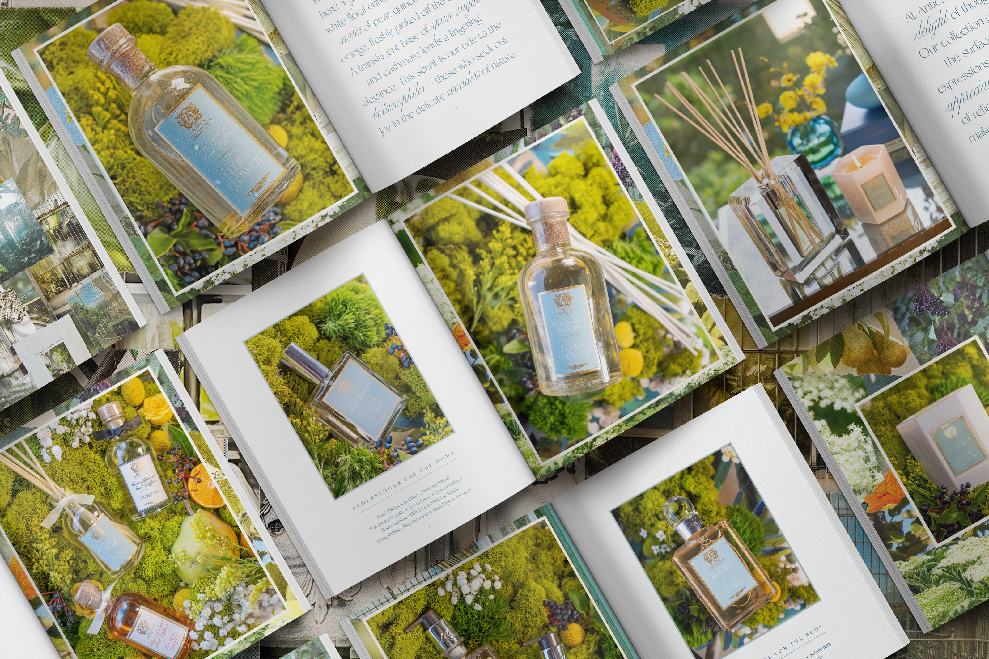 The printed Elderflower catalog laid out spread by spread, the open pages’ typography legible over moss and blooms.