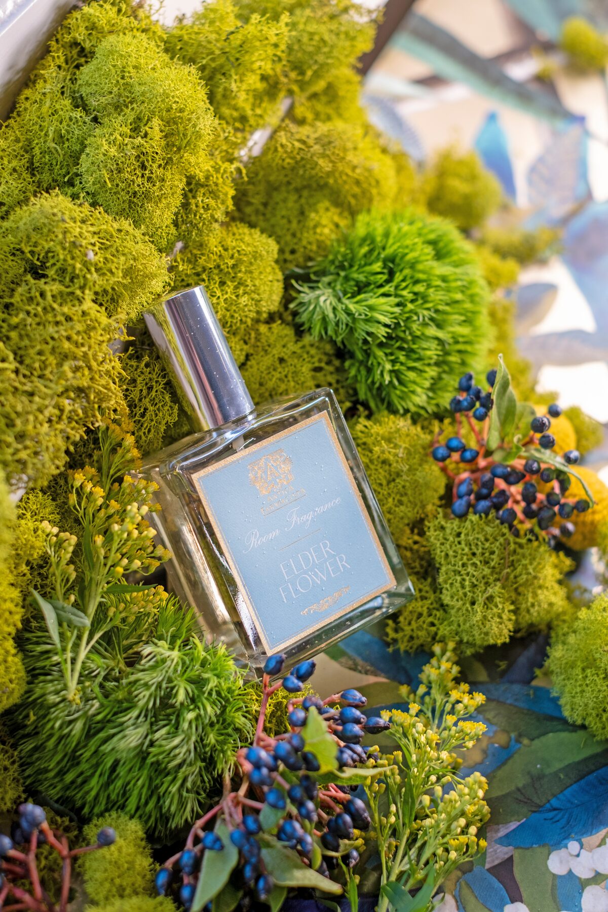 The room fragrance sunk into dense moss with wild blueberries and goldenrod.
