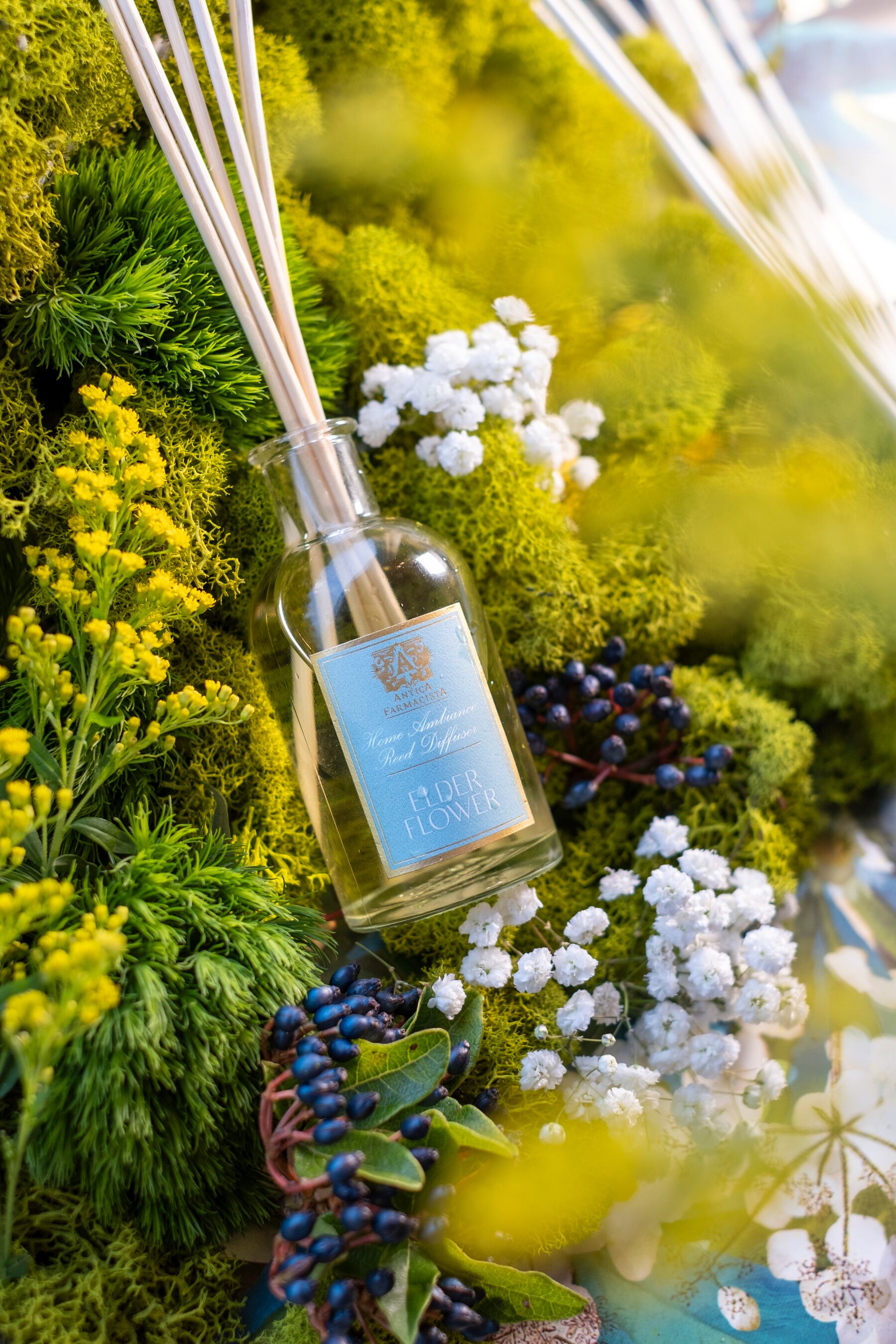 The Elderflower diffuser standing deep in chartreuse moss with gypsophila, goldenrod, and wild blueberries.